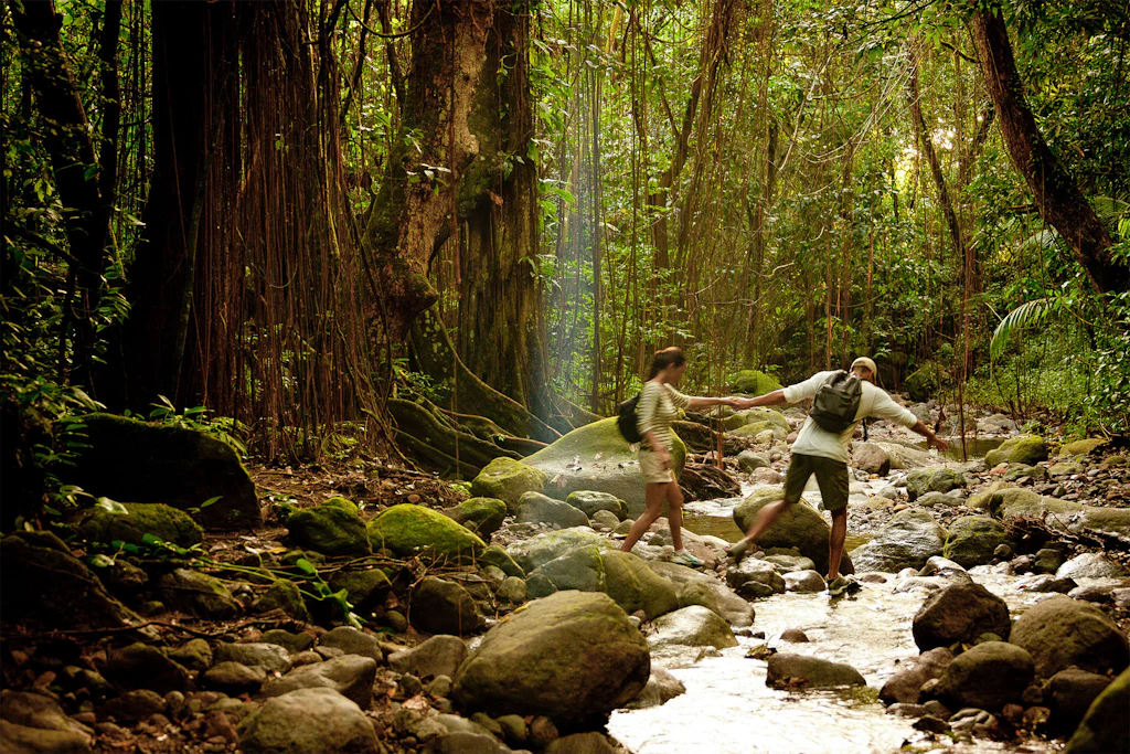 Hiking through St. Kitts’ lush rainforest