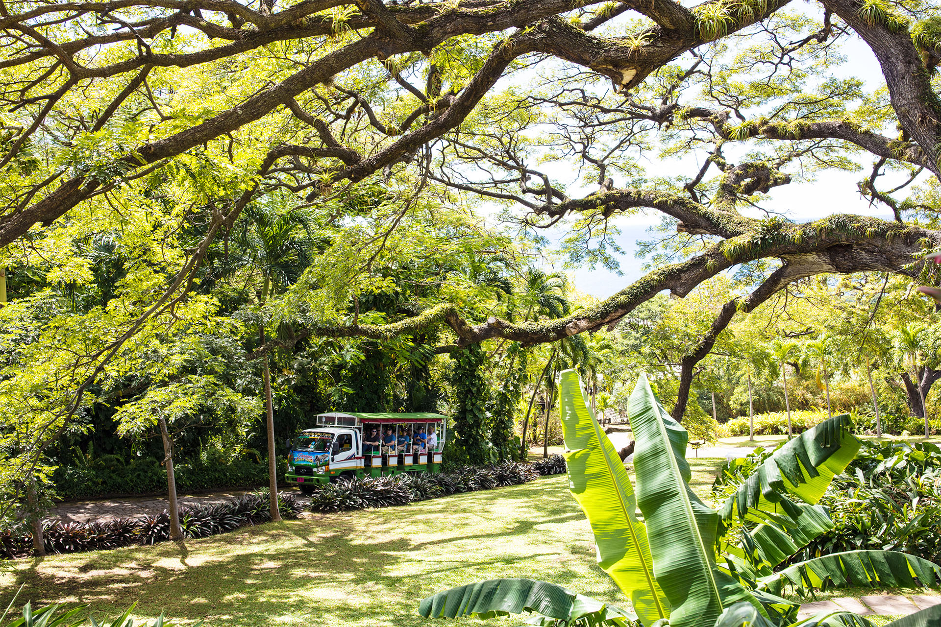 Romney Manor's lush tropical setting