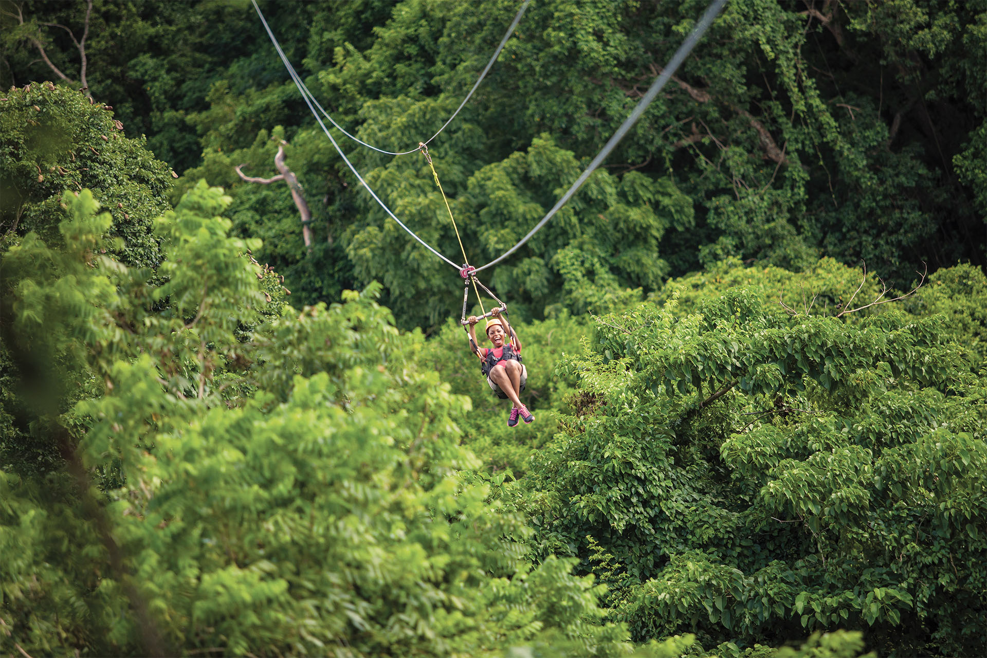 Race across St. Kitts' rainforest on a sky-high zipline