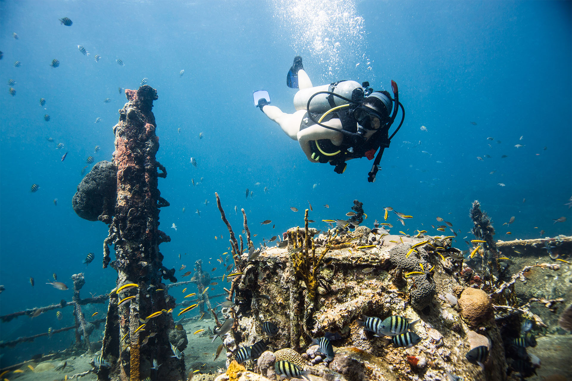Diving the River Taw wreck off St. Kitts