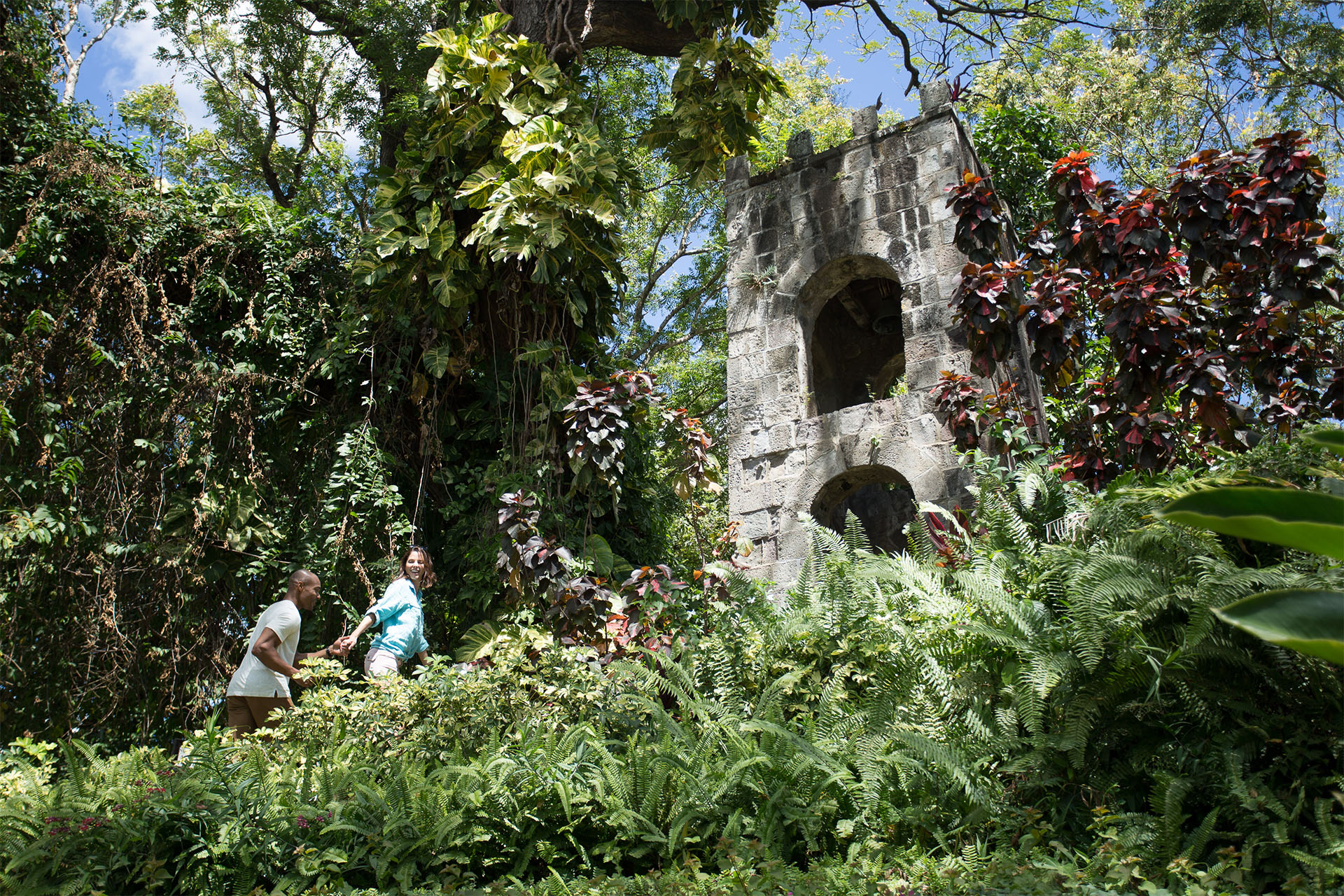 An afternoon stroll through Romney Manor in St. Kitts