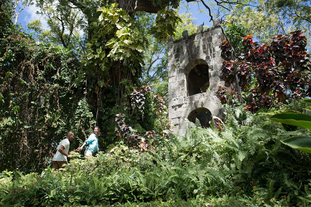 An afternoon stroll through Romney Manor in St. Kitts